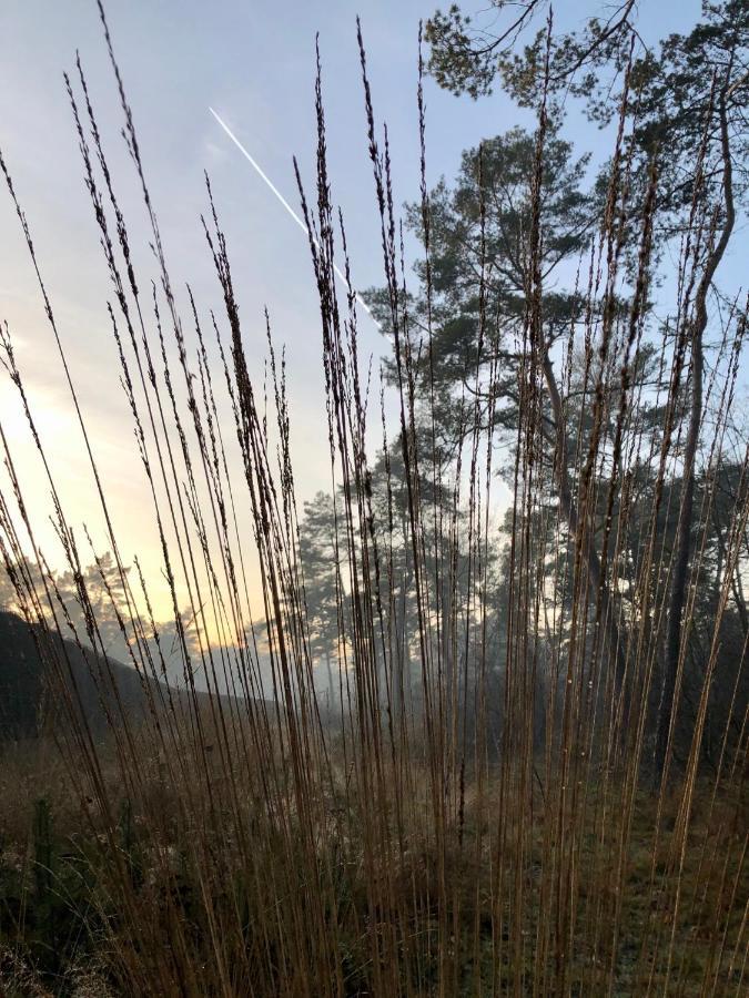 Het Natuurhuisje Op De Veluwe Nunspeet Eksteriør bilde