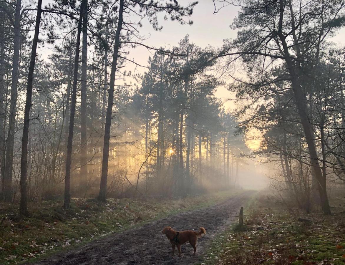 Het Natuurhuisje Op De Veluwe Nunspeet Eksteriør bilde