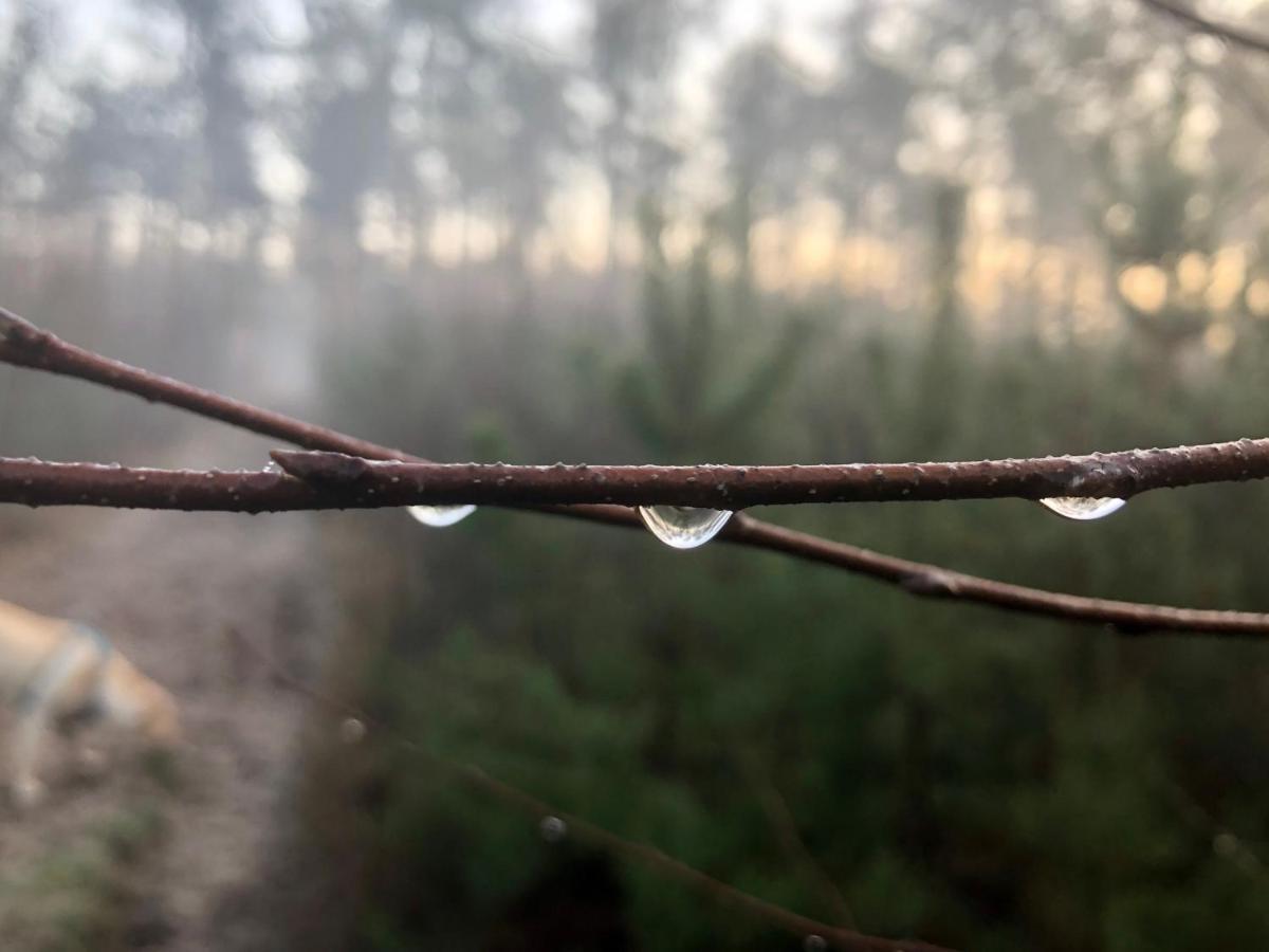 Het Natuurhuisje Op De Veluwe Nunspeet Eksteriør bilde