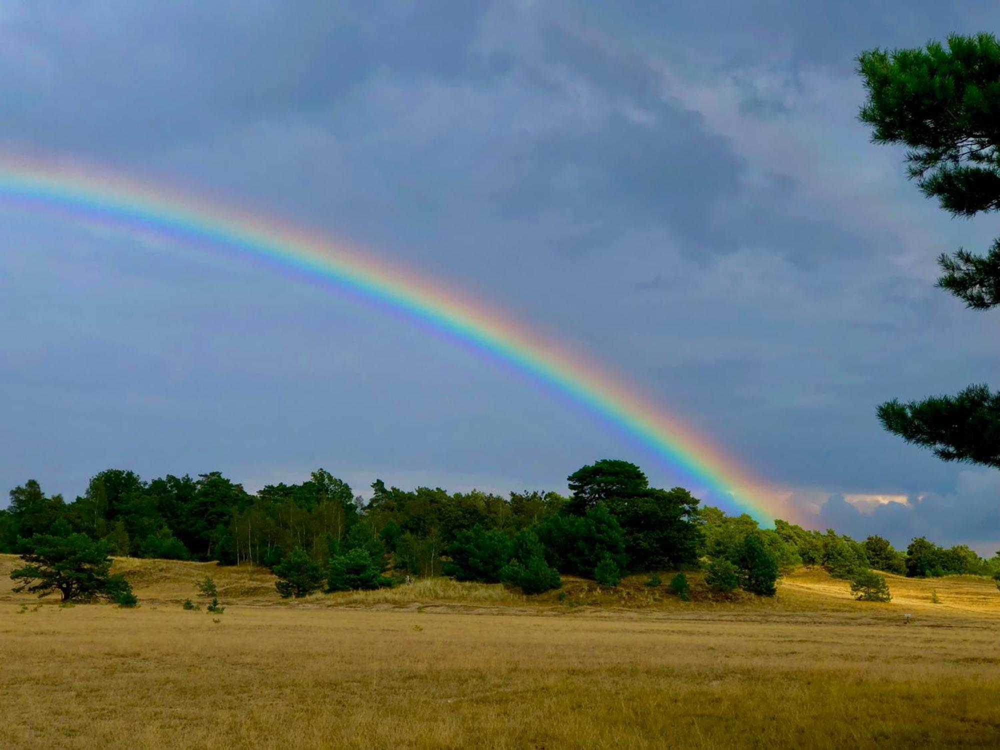 Het Natuurhuisje Op De Veluwe Nunspeet Eksteriør bilde