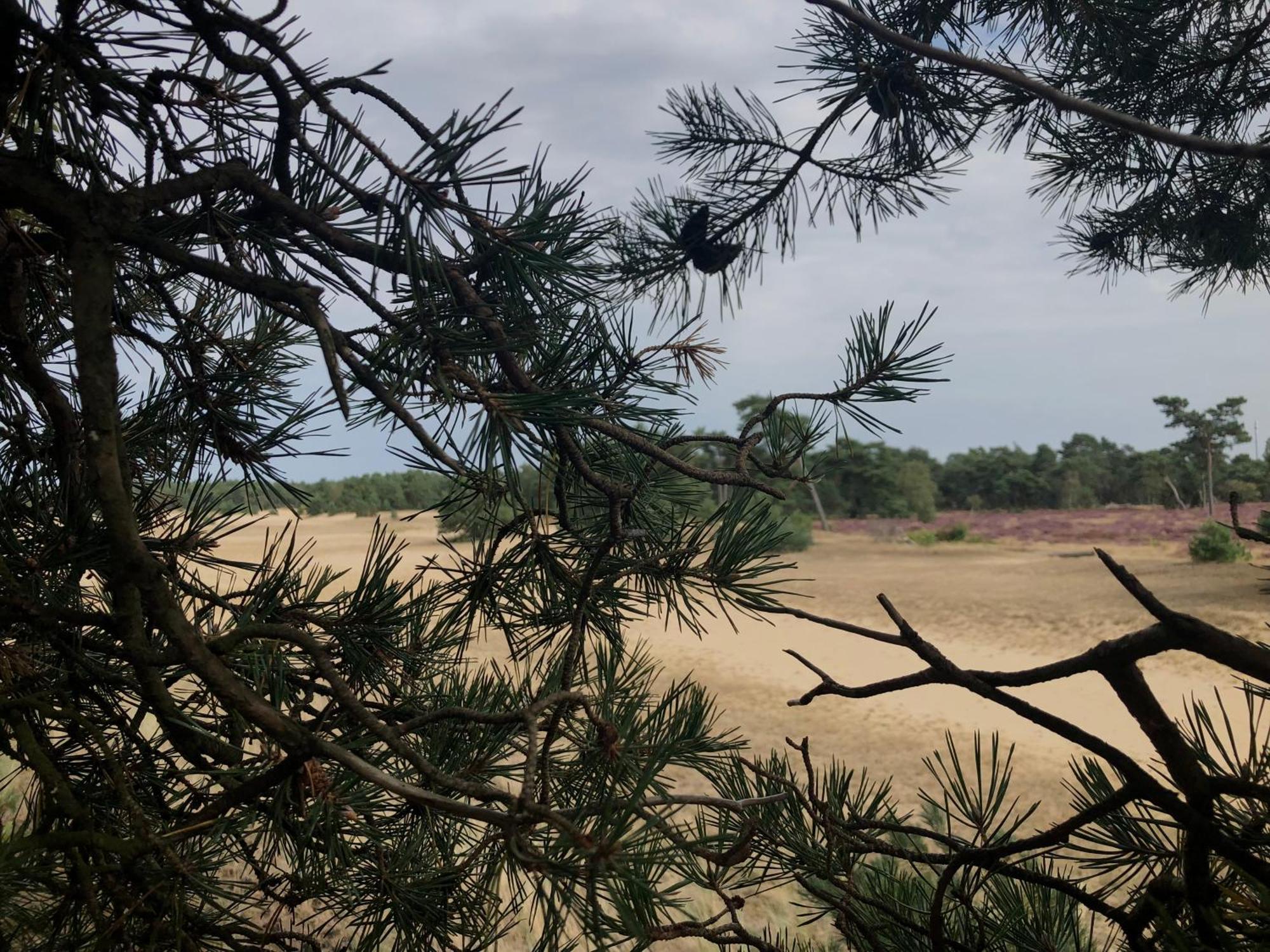 Het Natuurhuisje Op De Veluwe Nunspeet Eksteriør bilde
