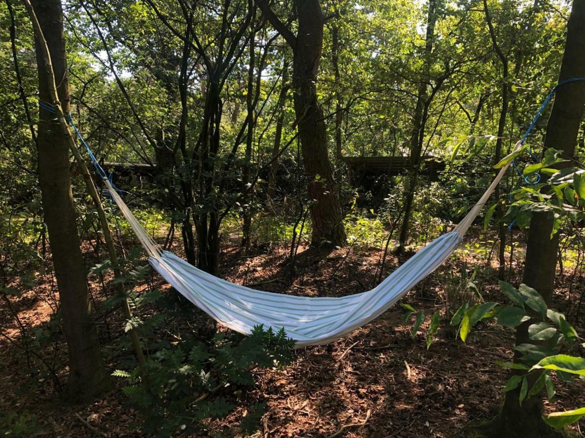 Het Natuurhuisje Op De Veluwe Nunspeet Eksteriør bilde